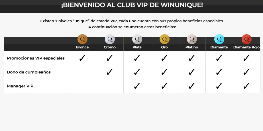 VIP-programma 